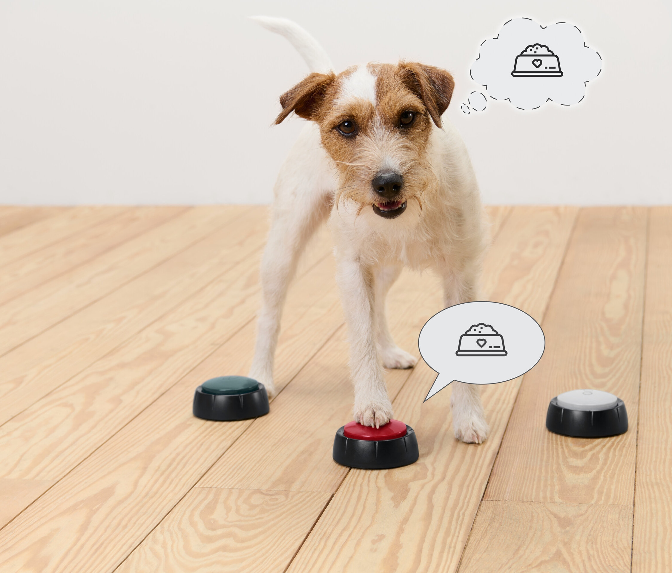 Jack Russell cinsi bir köpek ahşap bir zeminde duruyor ve patiğiyle kırmızı bir düğmeye basıyor. Diğer düğmeler yeşil ve gri renktedir. Köpeğin üzerindeki düşünce balonlarında bir mama kabı ikonu bulunmaktadır.