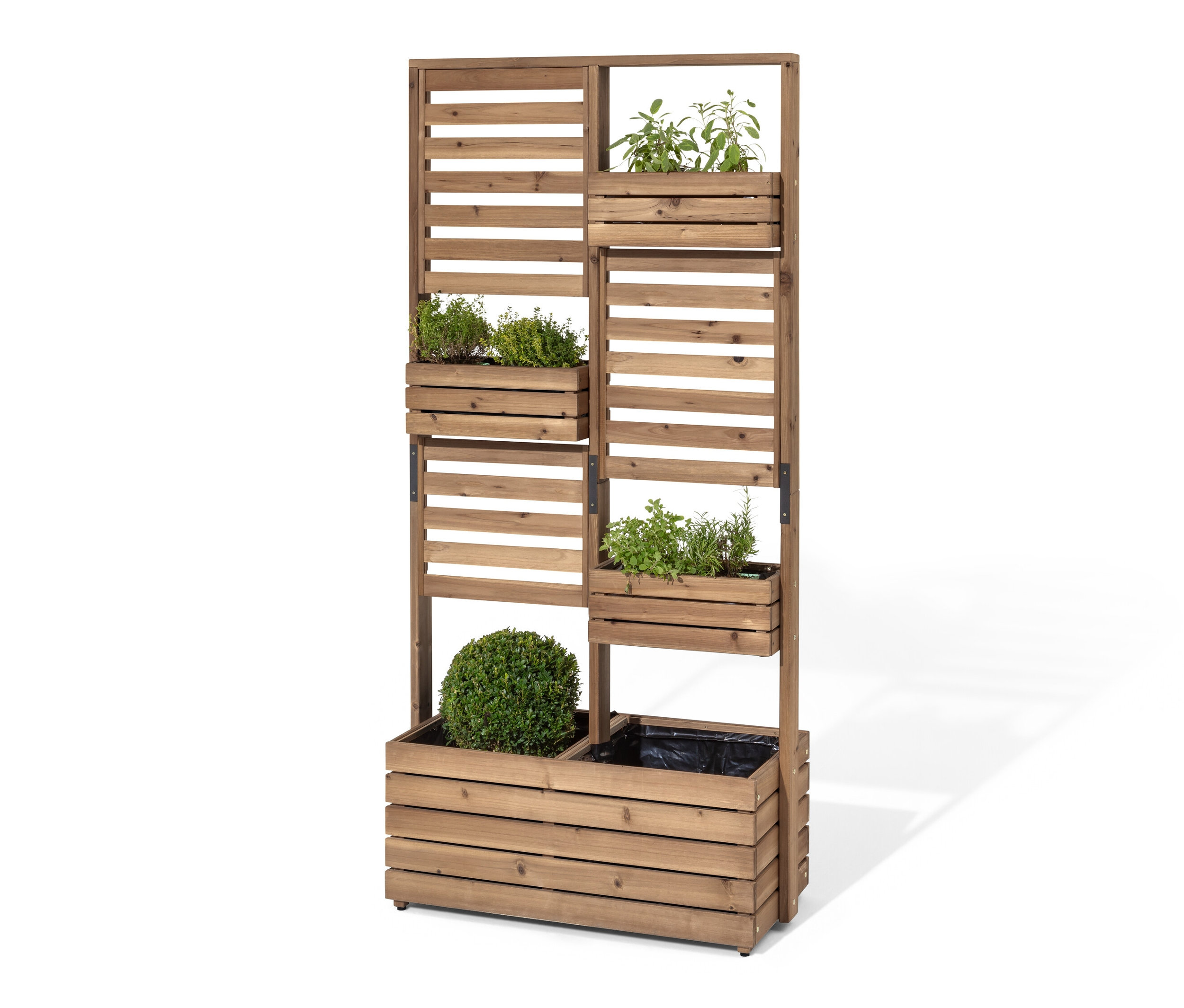 Saksılarda bitkilerle birlikte çift taraflı ekilebilir paravan »Tinus«.