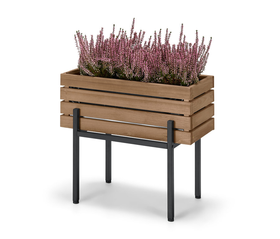 Beyaz bir arka plan üzerinde çiçek açan funda ile »Elin« Kutu Saksı.