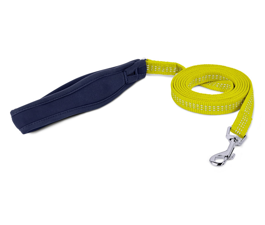 Beyaz arka planda mavi saplı sarı köpek tasması.