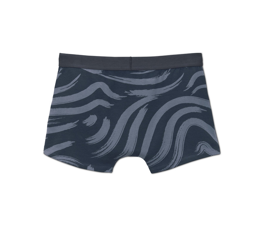 Mavi desenli 2'li organik pamuklu slip boxer.