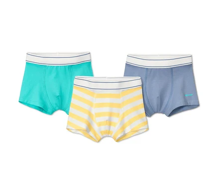 Üç adet organik pamuklu erkek çocuk slip boxer: turkuaz, sarı-beyaz çizgili ve mavi renklerde.