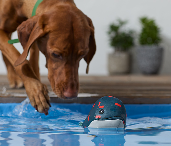 Köpek Su Oyuncağı "Balina"