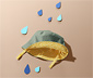 Yağmur Şapkası