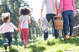 Piknik için iyi donanım: İki çocuklu genç bir aile ve doğada piknik sepeti.