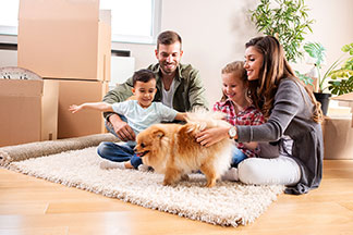 Güvenli ve Kaliteli Köpek Oyuncakları